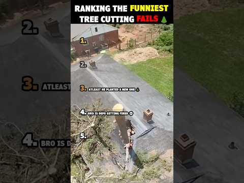 Ranking the funniest tree cutting fails! 🌲