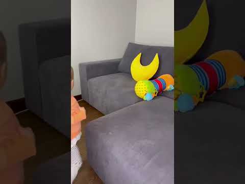 Ребёнок умнеет быстрее таксы😀 #топ #семья #рекомендации #животные #собаки #жизнь #собака #декрет