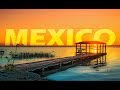 Comprendiendo el Valor de la Vida