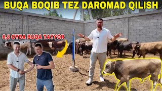 ЁШ БУҚАЧАНИ ОЛИБ 6-8 ОЙДА ТАЙЁР ҚИЛИБ СОТАМАН