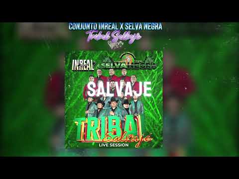 Conjunto Inreal X Selva Negra | Tribal Salvaje | 2025