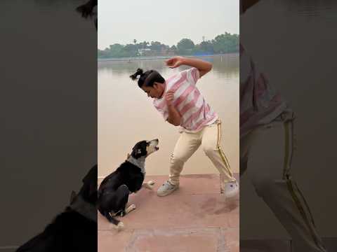 Dog Performs Amazing Flip🐶🤸‍♂️ #DogFlip #DogTrick #AgilityDog #FunnyDogs #DogLovers #pets