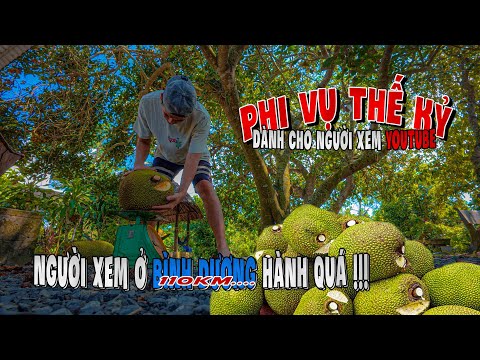 Tập 424 - Đi 110km giao trái Mít Vũng Tàu - Bình Dương chỉ dành cho người xem Youtube