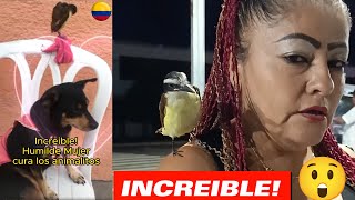 Increíble! Mujer Humilde cur4 animales de la calle y  se quedan con ella en Colombia . LOVE ANIMALS
