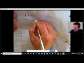 Exploring Derivatives and Polar Coordinates