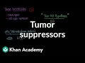 Retinoblastoma and Tumor Suppressor Genes