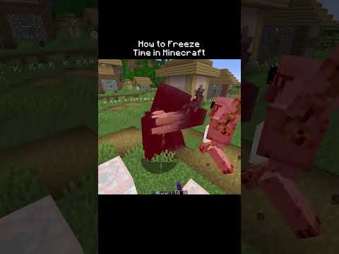 How to Freeze Time in Minecraft #shorts