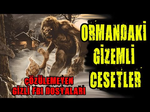 Gizemli Cesetler Uzmanı Açıklıyor ve Çarpıcı Gerçekler Ortaya Çıkıyor