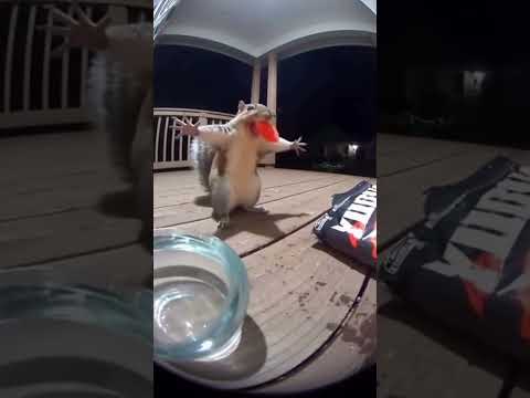 Than I am trying to first time full on spicy snacks 😂 #funny #comedy ￼