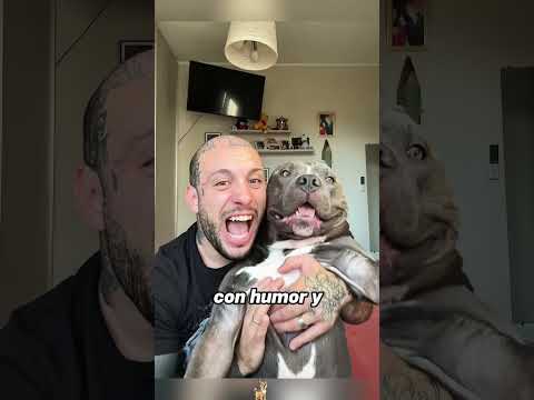 It has an owner who loves it#animals #Friendship #Us #cute #rescueanimals
