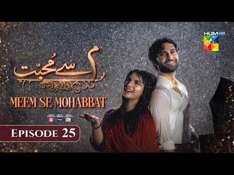 Meem Se Mohabbat Episode 25 - Meem Se Mohabbat Full - Ahad Raza Mir- Dananeer-HUM  TV -10 March 2025