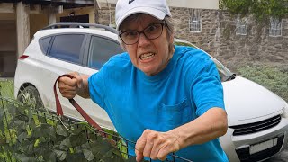Angry Karen Hates New Fence
