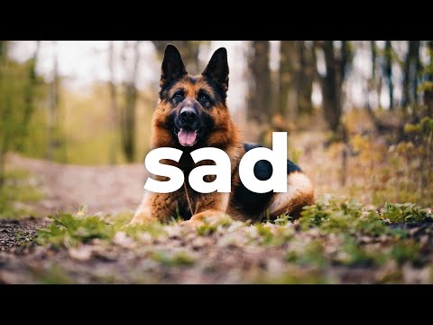 🐶 Sad & Nostalgic (Royalty Free Music) - "MEMORIES" by NickOST 🇪🇸