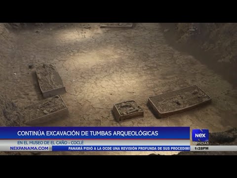 Continúa excavación de tumbas arqueológicas en el museo de El Caño, Coclé