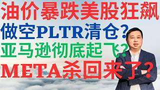 美股1150|美股狂飙油价暴跌,PLTR遭做空要清仓吗?亚马逊要彻底起飞了吗?META 终于杀回来了! #meta #pltr #amzn #美股分析 #drmikeinvest #大空头