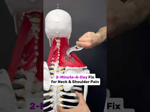 Check out the link in my Bio for my Root Cause Assessment. #neckpain #neckpainrelief