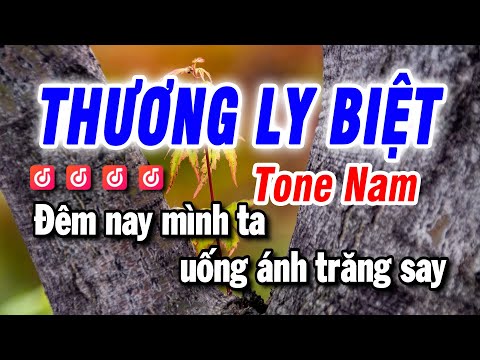 Karaoke Thương Ly Biệt Nhạc Sống Tone Nam | Beat Bảo Hưng