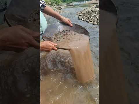 gold prospecting 2024, finding gold in sand, gold prospecting for beginners.