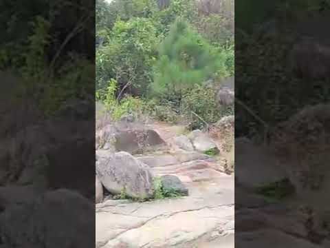 Tul ang Saltan River #1