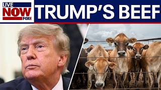 Will Trump's new executive order help lower grocery prices?