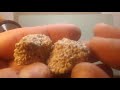 Shells and Rocks: Identification and Characteristics