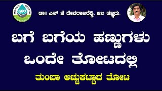 ಬಗೆ ಬಗೆ ಹಣ್ಣುಗಳು ಒಂದೇ ತೋಟದಲ್ಲಿ #agriculture #farming