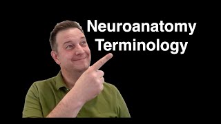 Neuroanatomy Terminology Explained: Neuroanatomy Basics for Medical Students