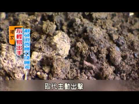 5  科學再發現 動物狩獵法則-民視新聞 - YouTube(2分05秒)