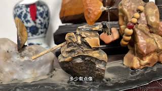 与猪有缘，得了几块猪形石，甚是喜爱。 #奇石空间美学 #案头奇石