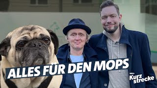 Mit Bastian Bielendorfer, Pierre und Otto zur Hunde-Physiotherapie