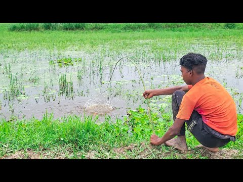 Fishing Video 🎣🐟 Fishing with Hook | Catching Catfish by Unique Fishing in Village Beautiful Nature