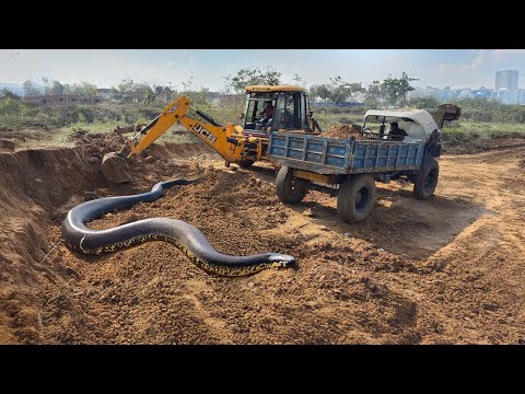 Jcb 3dx Backhoe Machine Mahindra Swaraj New Eicher Sonalika Tractor Over LoadingTrolley Truck video
