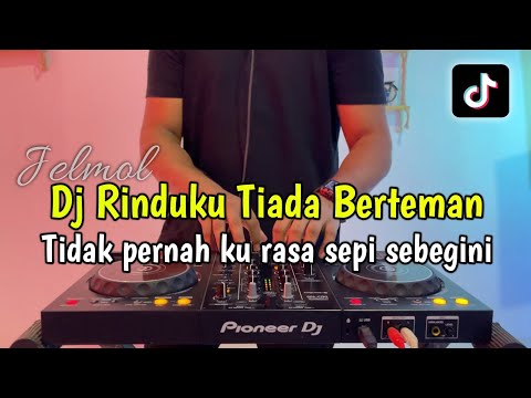 DJ RINDUKU TIADA BERTEMAN - TIDAK PERNAH KURASA SEPI SEBEGINI FULL BASS 2024