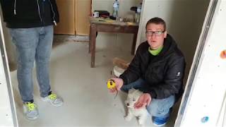видео