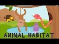Animal Habitats and Their Needs