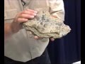 Geological History of Illinois