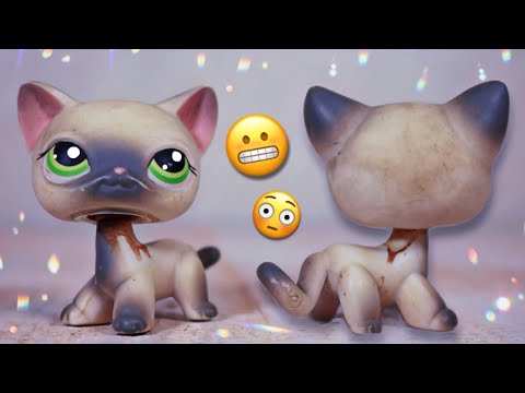 Let's Transform an LPS Short Hair Cat Together!