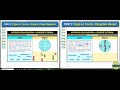 Cell Division Activity Features