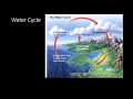 Ecological Concepts and Human Impact