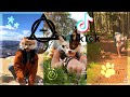 Philosophical Themes in Animal Narratives