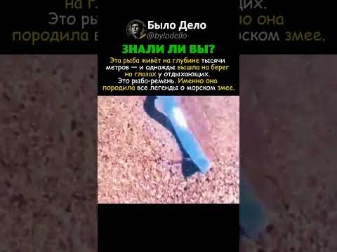 ГОСТЬ ИЗ БЕЗДНЫ