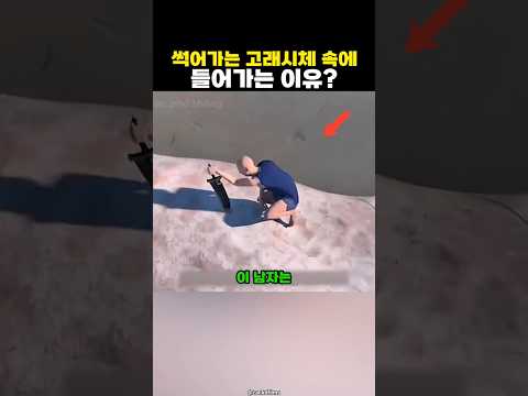 부패한 고래 속에 들어가야했던 이유?