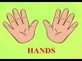 Understanding Hands in English and Vietnamese