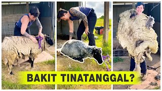 Bakit Tinatanggal?