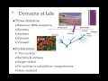 Genetic Tree and Cell Classification
