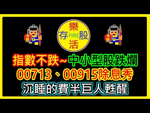 【存股人生-089】指數不跌~中小型股跌爛！00713、00915除息秀！沉睡的費半巨人甦醒！【卡哇KAWA】