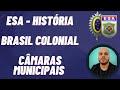 Colonial Brazil: Political and Administrative Structures