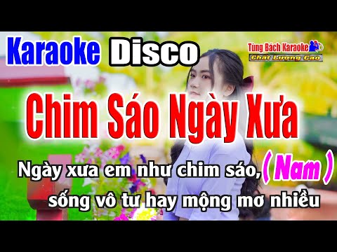 Chim Sáo Ngày Xưa || Karaoke Beat Disco | Tông Nam | Nhạc Sống Tùng Bách