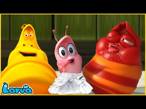 LARVA CHỌN CHỒNG - ẤU TRÙNG TINH NGHỊCH - PHIM HOẠT HÌNH LARVA MỚI HAY NHẤT 2022