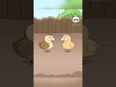 Bạn thích ăn gà vườn hay gà công nghiệp #facts #shorts
